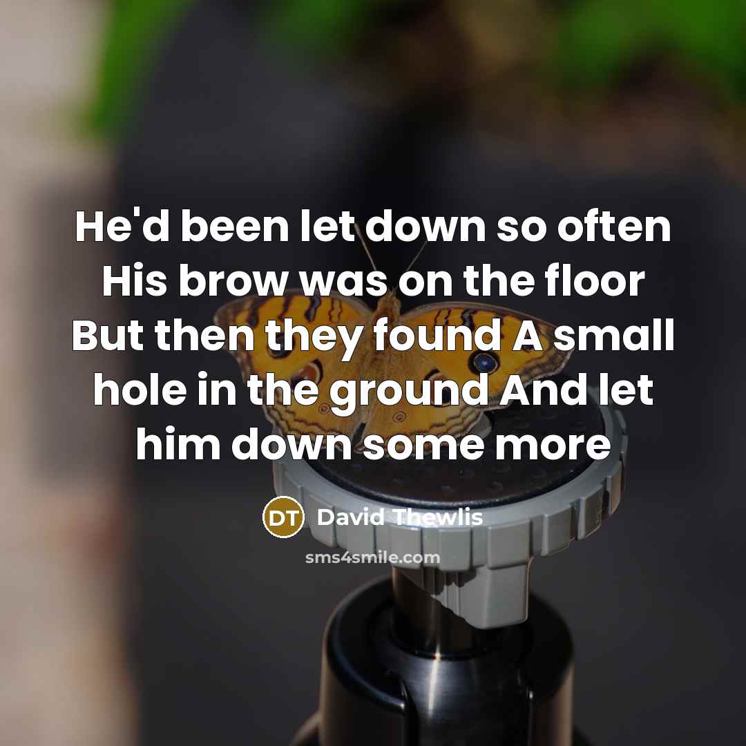 “He'd been let down so often His brow was on the floor But then they found A small hole in the ground And let him down some more” quote by David Thewlis