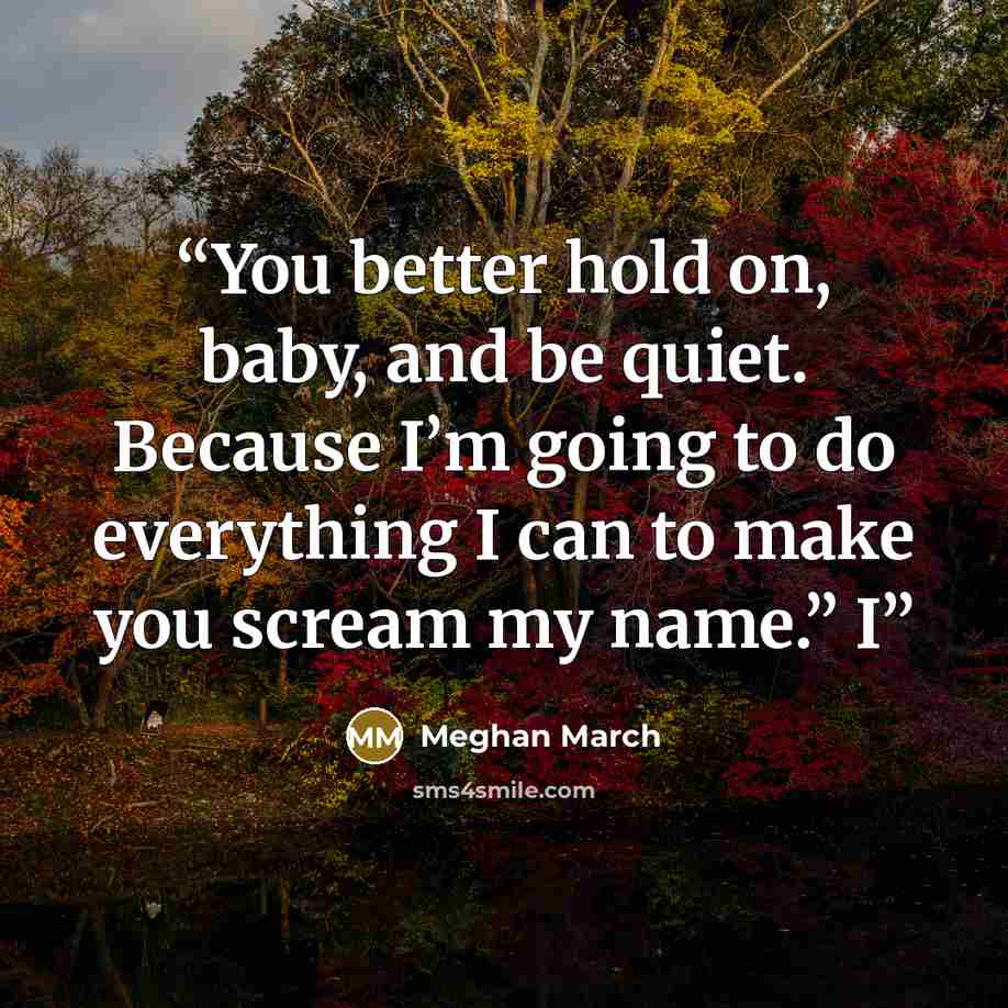 “You better hold on, baby, and be quiet. Because I’m going to do everything I can to make you scream my name.” I” quote by Meghan March
