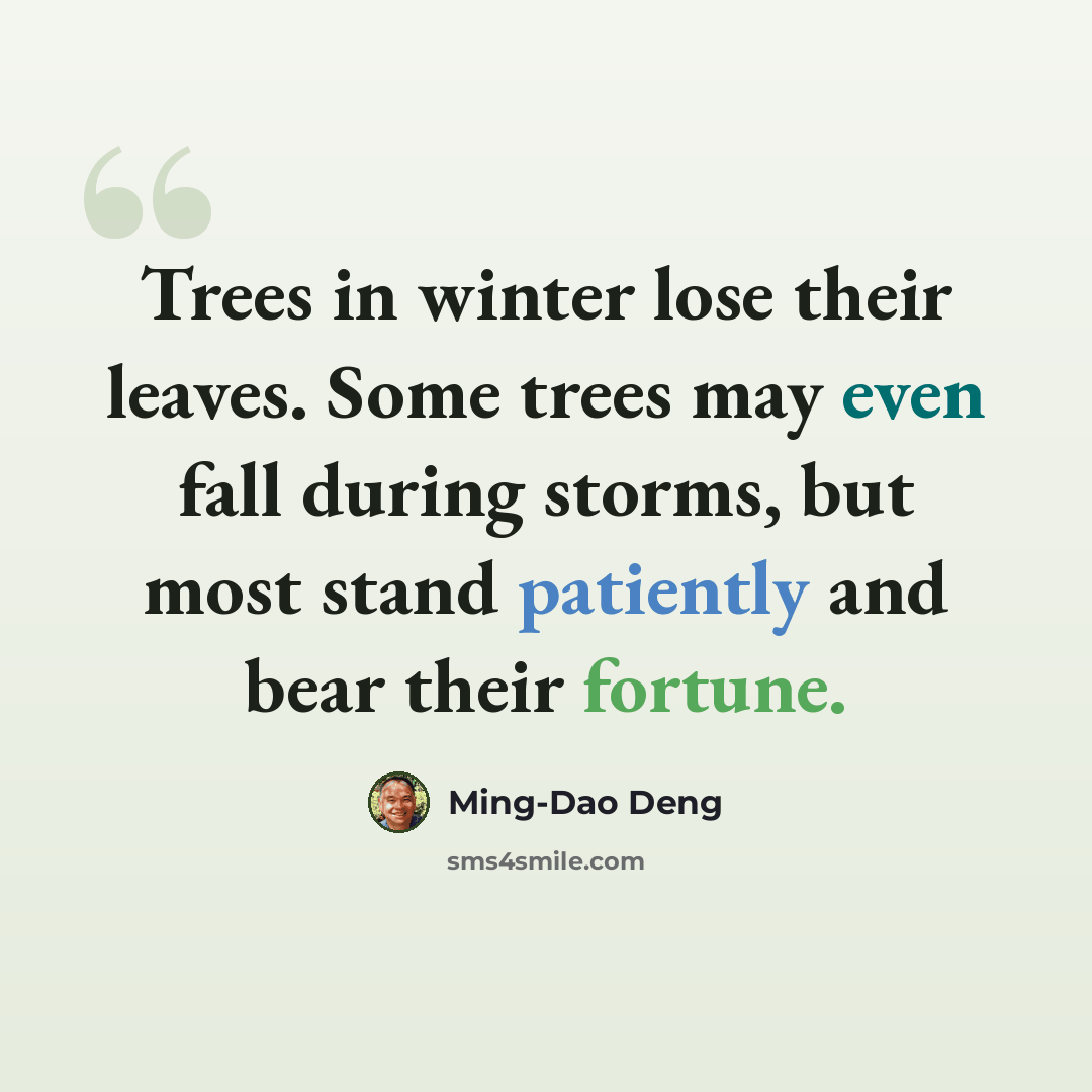 “Trees in winter lose their leaves. Some trees may even fall during storms, but most stand patiently and bear their fortune.” quote by Ming-Dao Deng