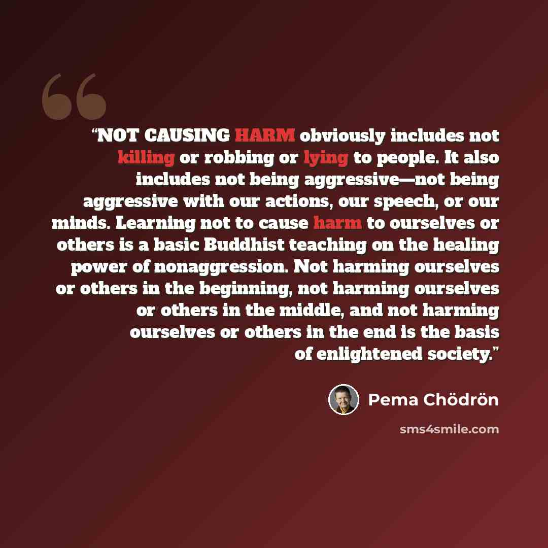 “NOT CAUSING HARM obviously includes not killing or robbing or lying to people. It also includes not being aggressive—not being aggressive with our actions, our speech, or our minds. Learning not to cause harm to ourselves or others is a basic Buddhist teaching on the healing power of…” quote by Pema Chödrön