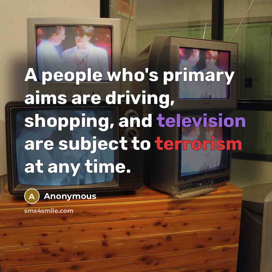 “A people who's primary aims are driving, shopping, and television are subject to terrorism at any time.” quote by Anonymous