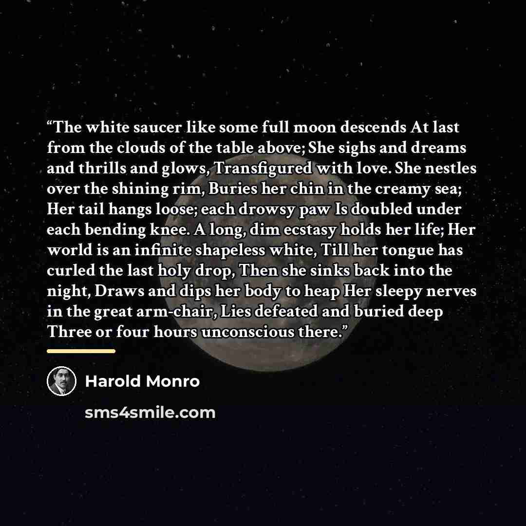 “The white saucer like some full moon descends At last from the clouds of the table above; She sighs and dreams and thrills and glows, Transfigured with love. She nestles over the shining rim, Buries her chin in the creamy sea; Her tail hangs loose; each drowsy paw Is doubled under each bending…” quote by Harold Monro