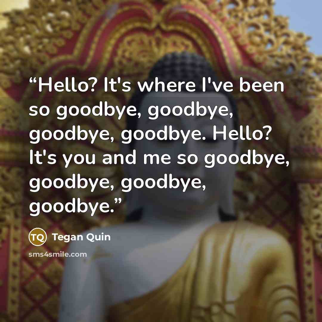 “Hello? It's where I've been so goodbye, goodbye, goodbye, goodbye. Hello? It's you and me so goodbye, goodbye, goodbye, goodbye.” quote by Tegan Quin