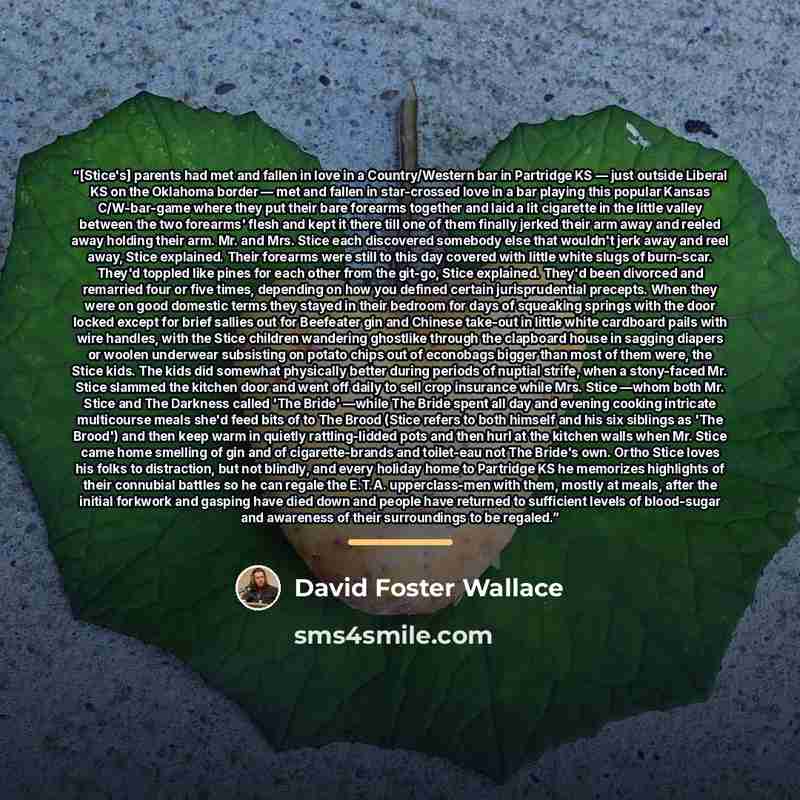 “[Stice's] parents had met and fallen in love in a Country/Western bar in Partridge KS — just outside Liberal KS on the Oklahoma border — met and fallen in star-crossed love in a bar playing this popular Kansas C/W-bar-game where they put their bare forearms together and laid a lit cigarette in the…” quote by David Foster Wallace