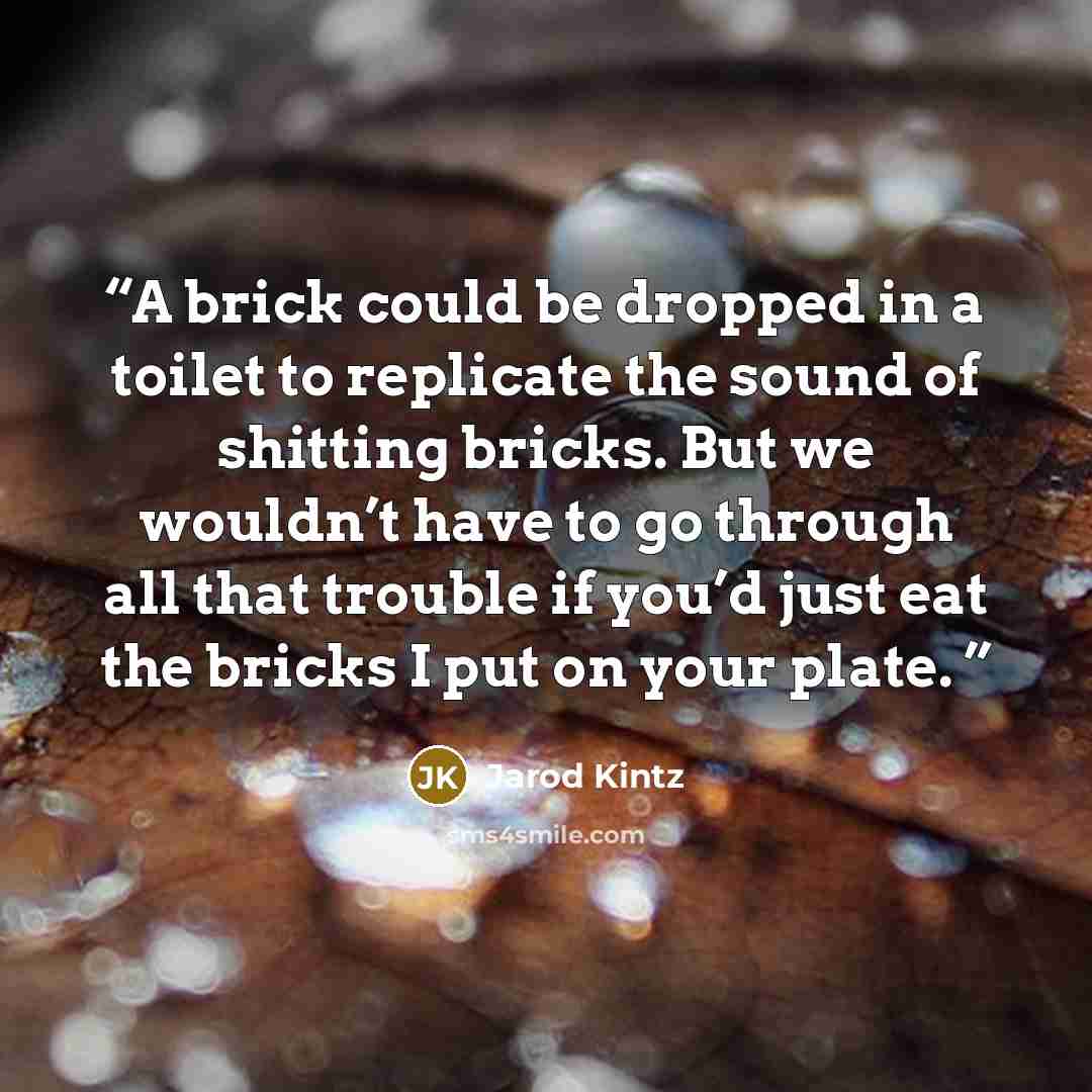 “A brick could be dropped in a toilet to replicate the sound of shitting bricks. But we wouldn’t have to go through all that trouble if you’d just eat the bricks I put on your plate.” quote by Jarod Kintz