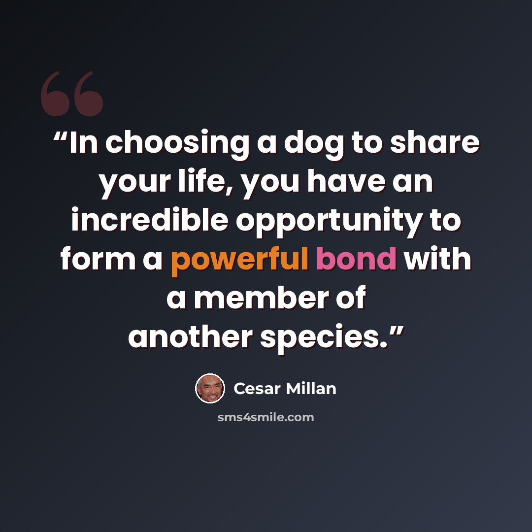 “In choosing a dog to share your life, you have an incredible opportunity to form a powerful bond with a member of another species.” quote by Cesar Millan