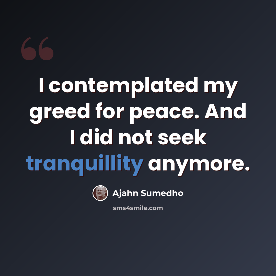 “I contemplated my greed for peace. And I did not seek tranquillity anymore.” quote by Ajahn Sumedho