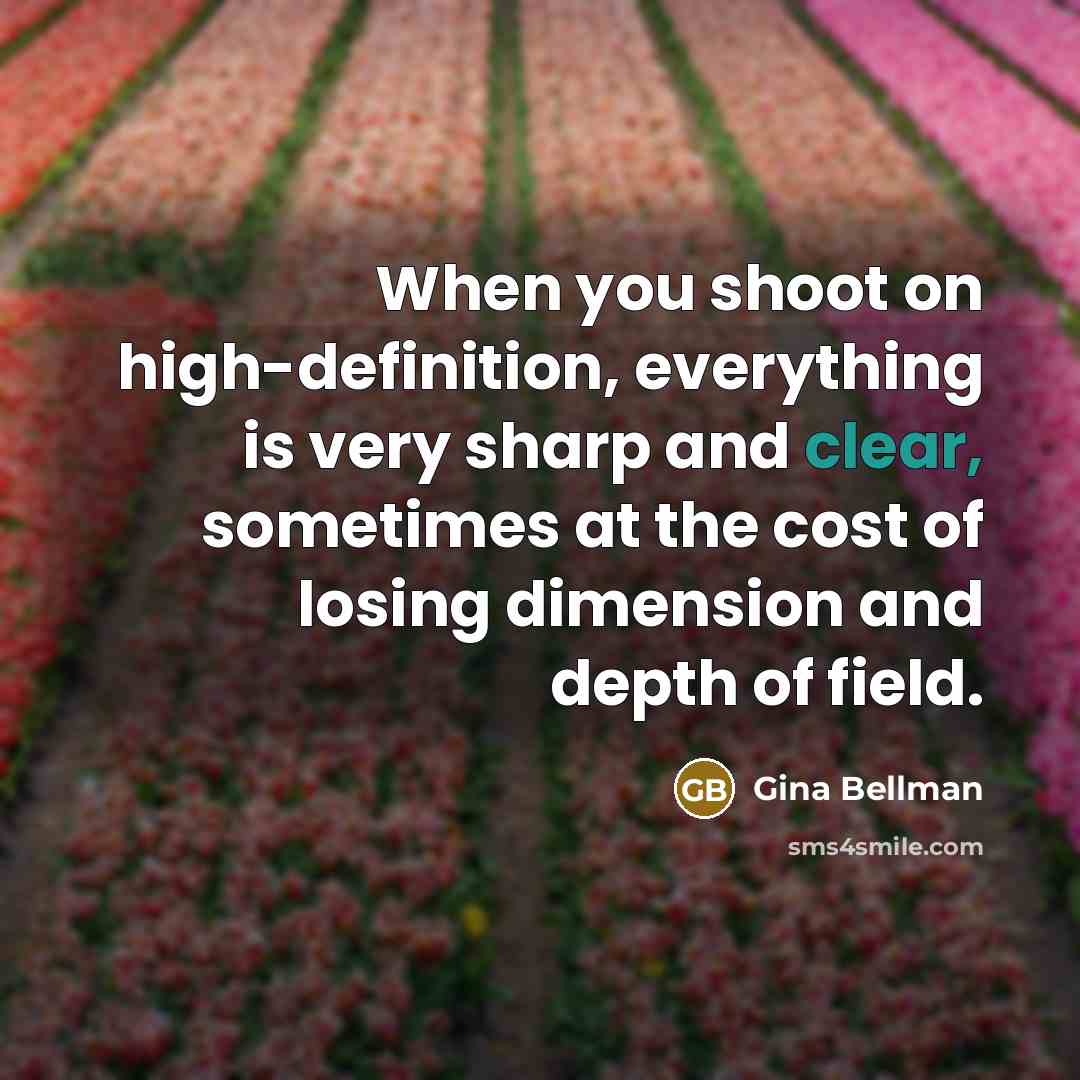 “When you shoot on high-definition, everything is very sharp and clear, sometimes at the cost of losing dimension and depth of field.” quote by Gina Bellman