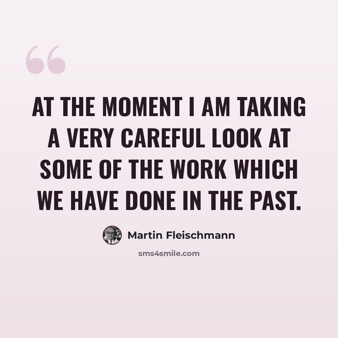 “At the moment I am taking a very careful look at some of the work which we have done in the past.” quote by Martin Fleischmann