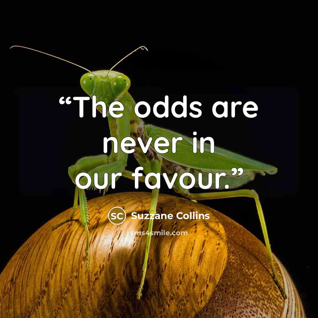 “The odds are never in our favour.” quote by Suzzane Collins