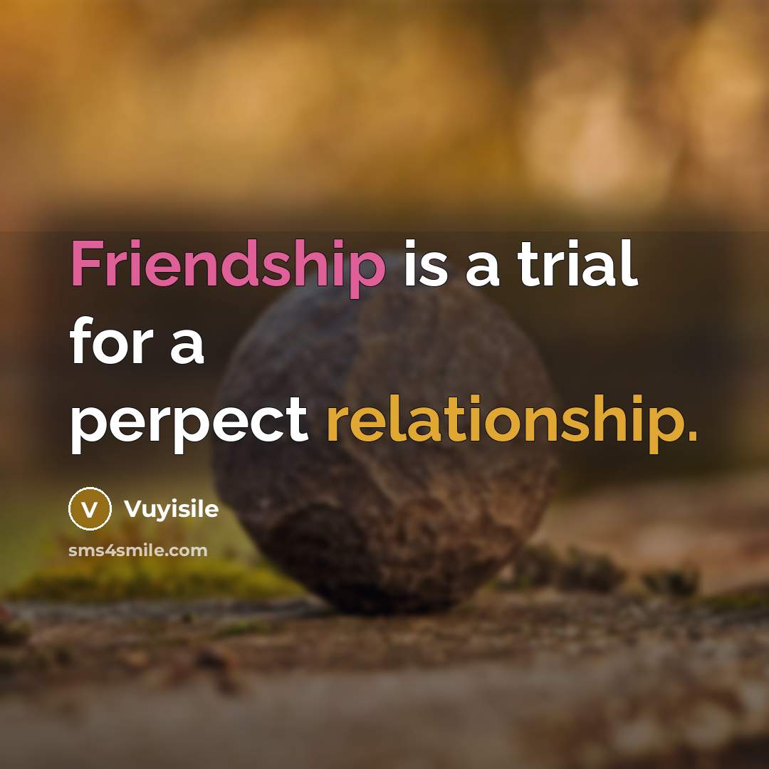 “Friendship is a trial for a perpect relationship.” quote by Vuyisile