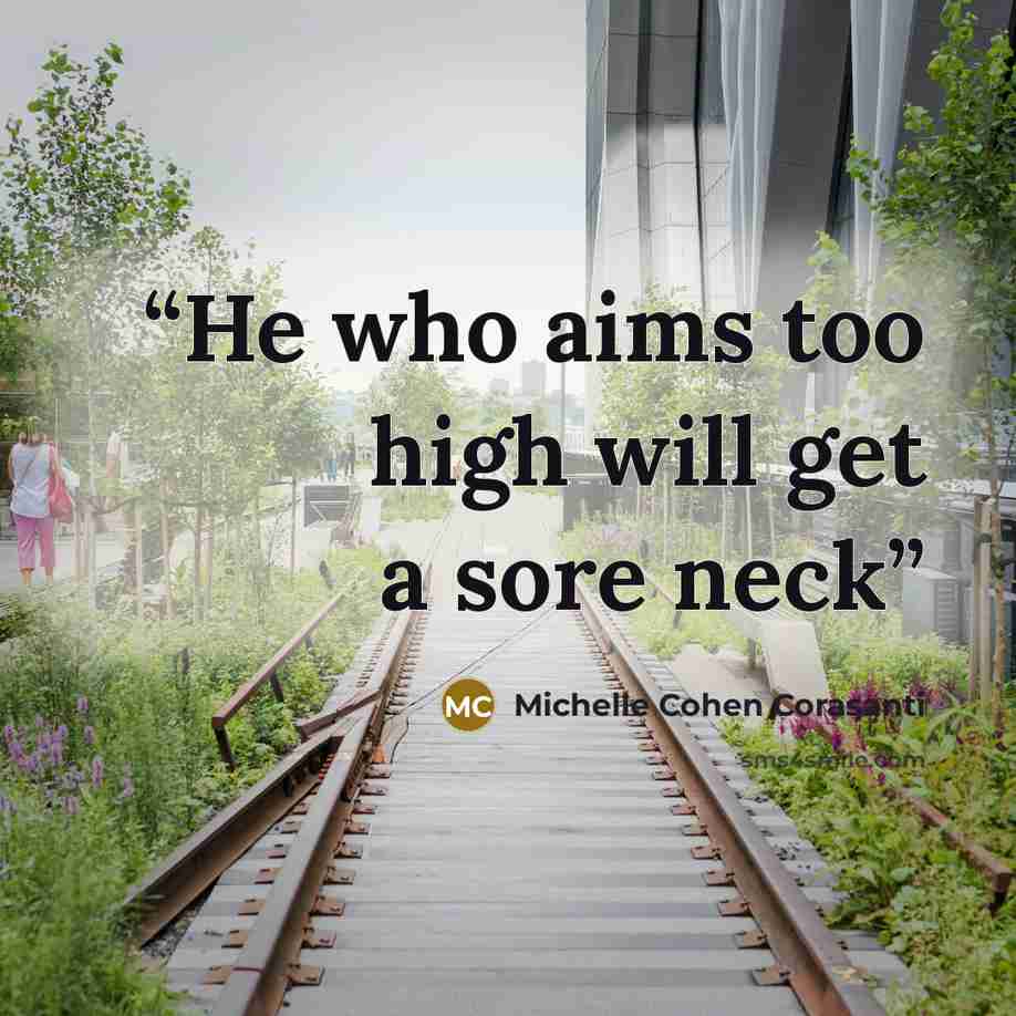 “He who aims too high will get a sore neck” quote by Michelle Cohen Corasanti