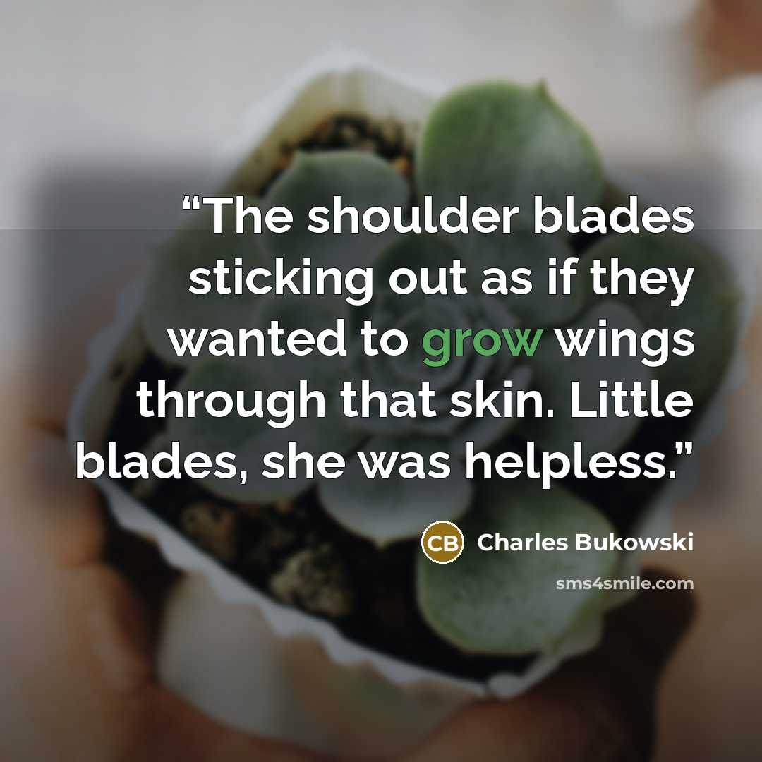 “The shoulder blades sticking out as if they wanted to grow wings through that skin. Little blades, she was helpless.” quote by Charles Bukowski