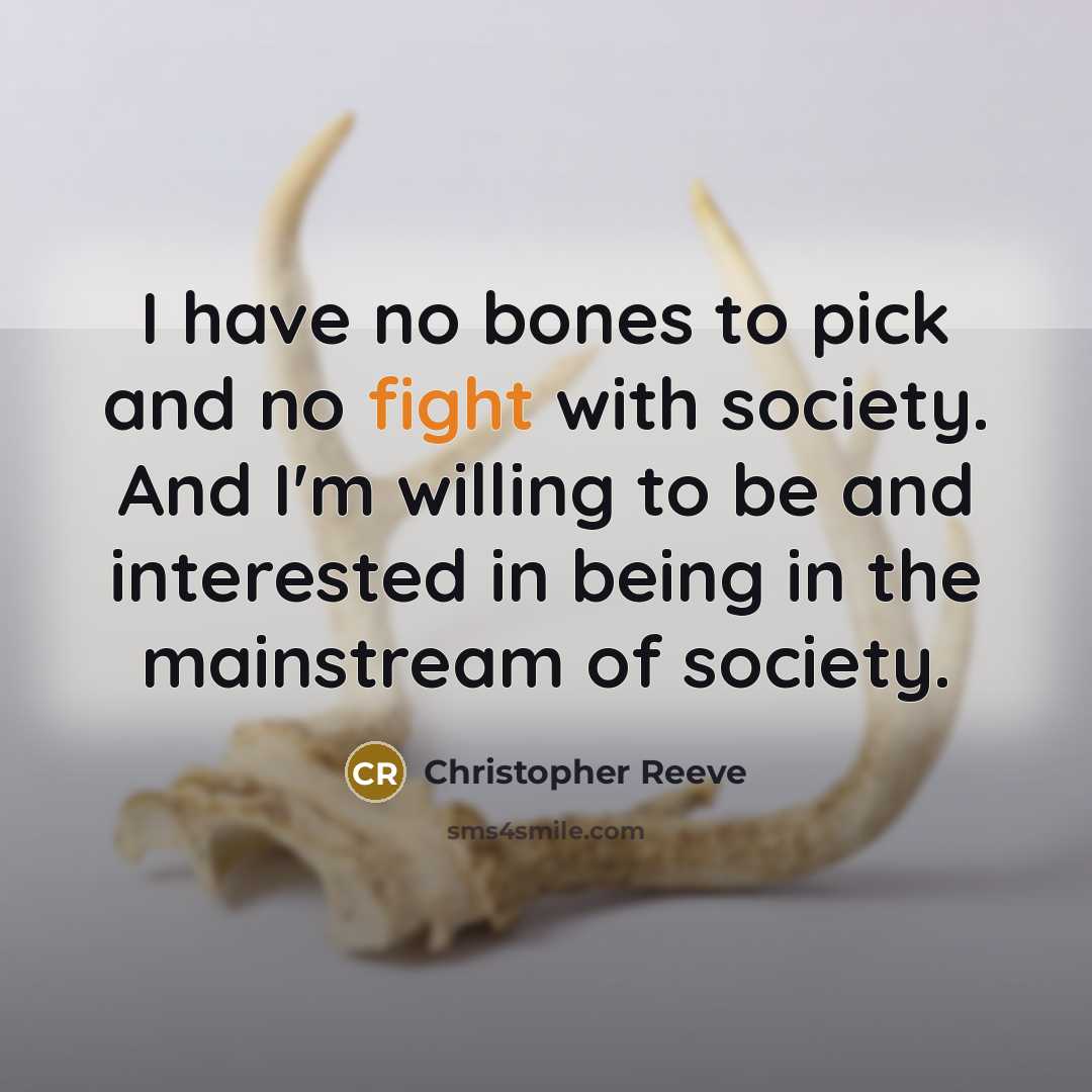 “I have no bones to pick and no fight with society. And I'm willing to be and interested in being in the mainstream of society.” quote by Christopher Reeve