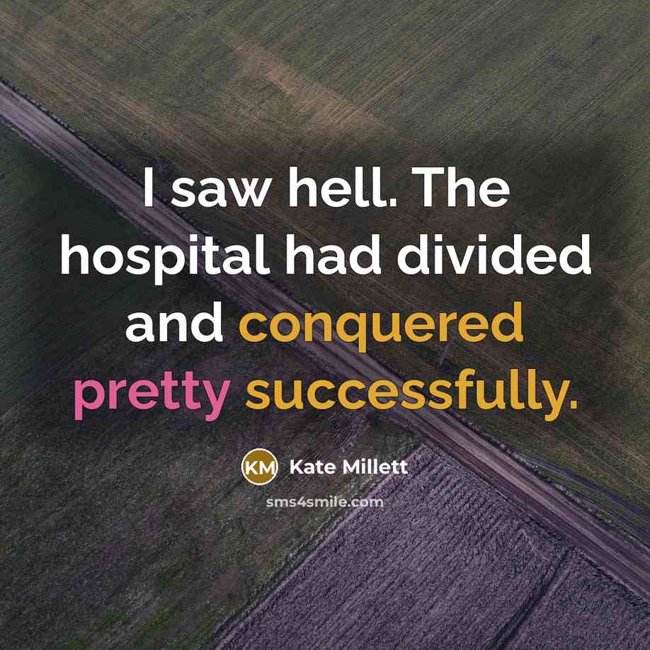 “I saw hell. The hospital had divided and conquered pretty successfully.” quote by Kate Millett