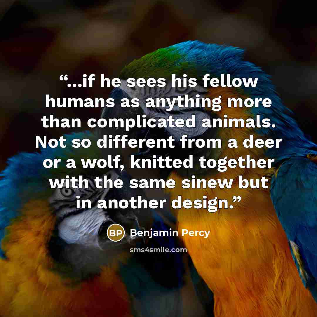 “...if he sees his fellow humans as anything more than complicated animals. Not so different from a deer or a wolf, knitted together with the same sinew but in another design.” quote by Benjamin Percy