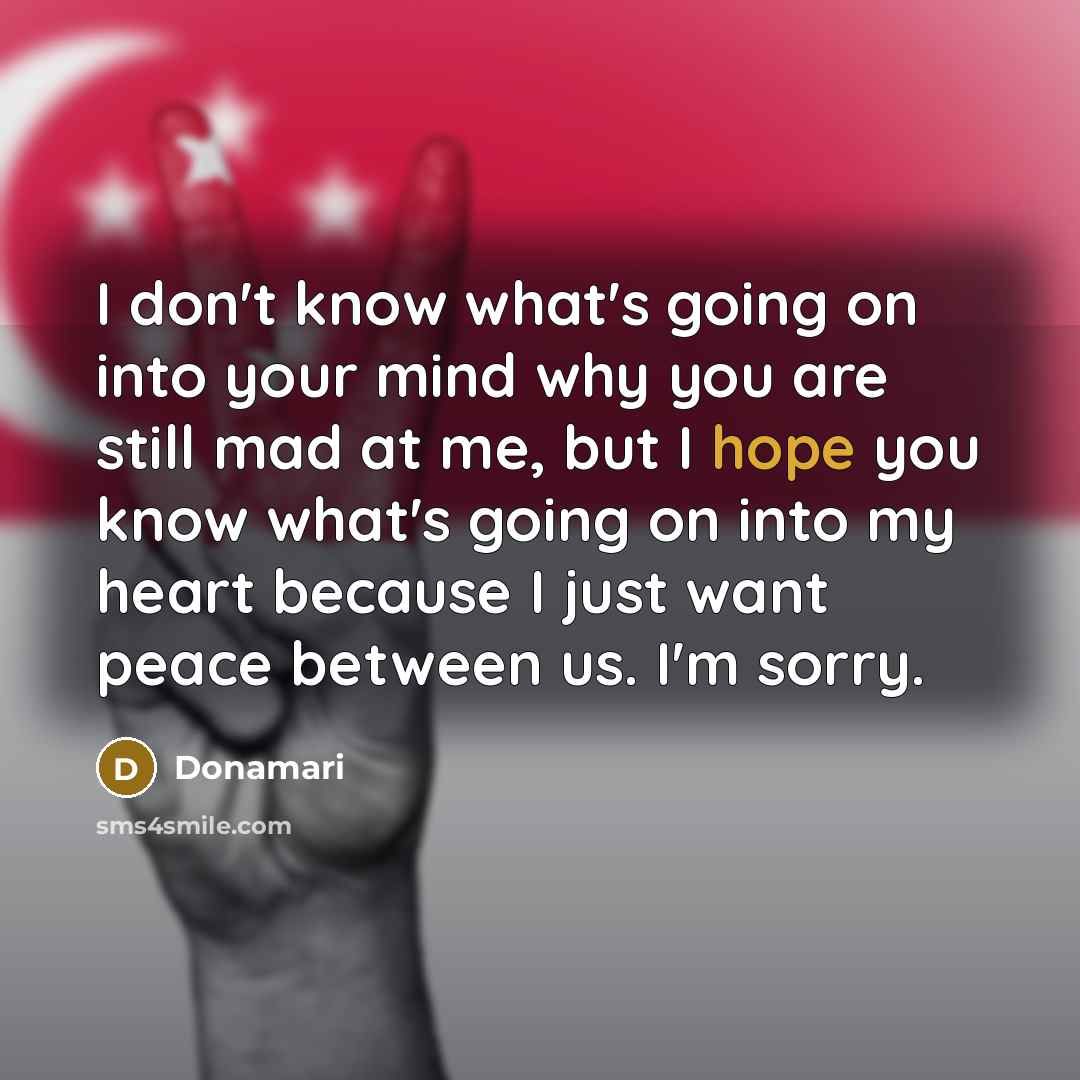 “I don't know what's going on into your mind why you are still mad at me, but I hope you know what's going on into my heart because I just want peace between us. I'm sorry.” quote by Donamari