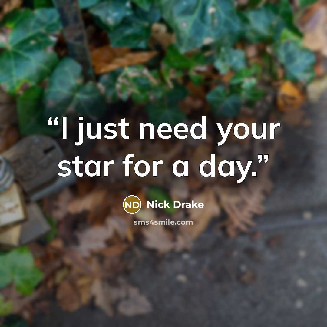 “I just need your star for a day.” quote by Nick Drake