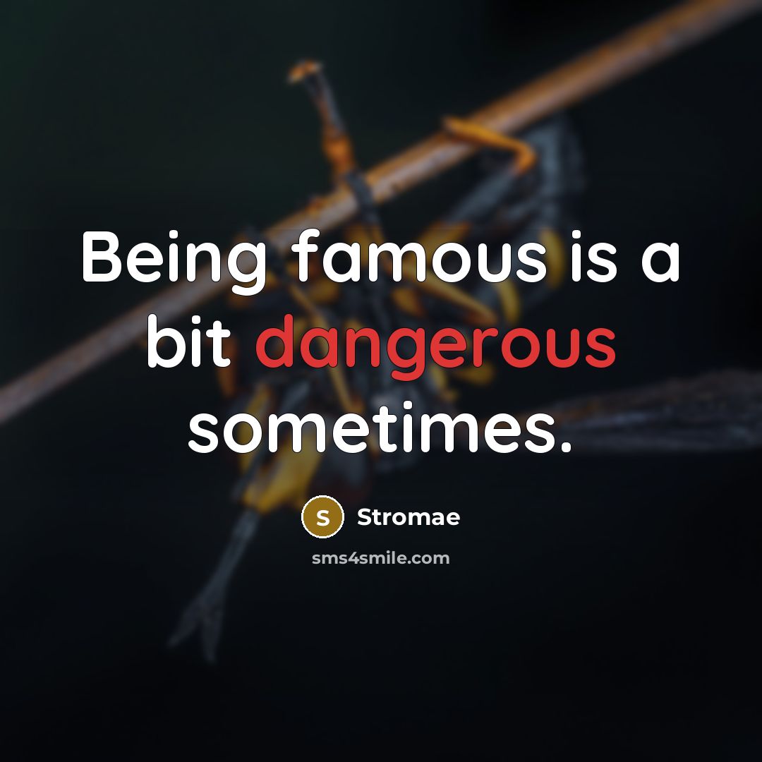 “Being famous is a bit dangerous sometimes.” quote by Stromae