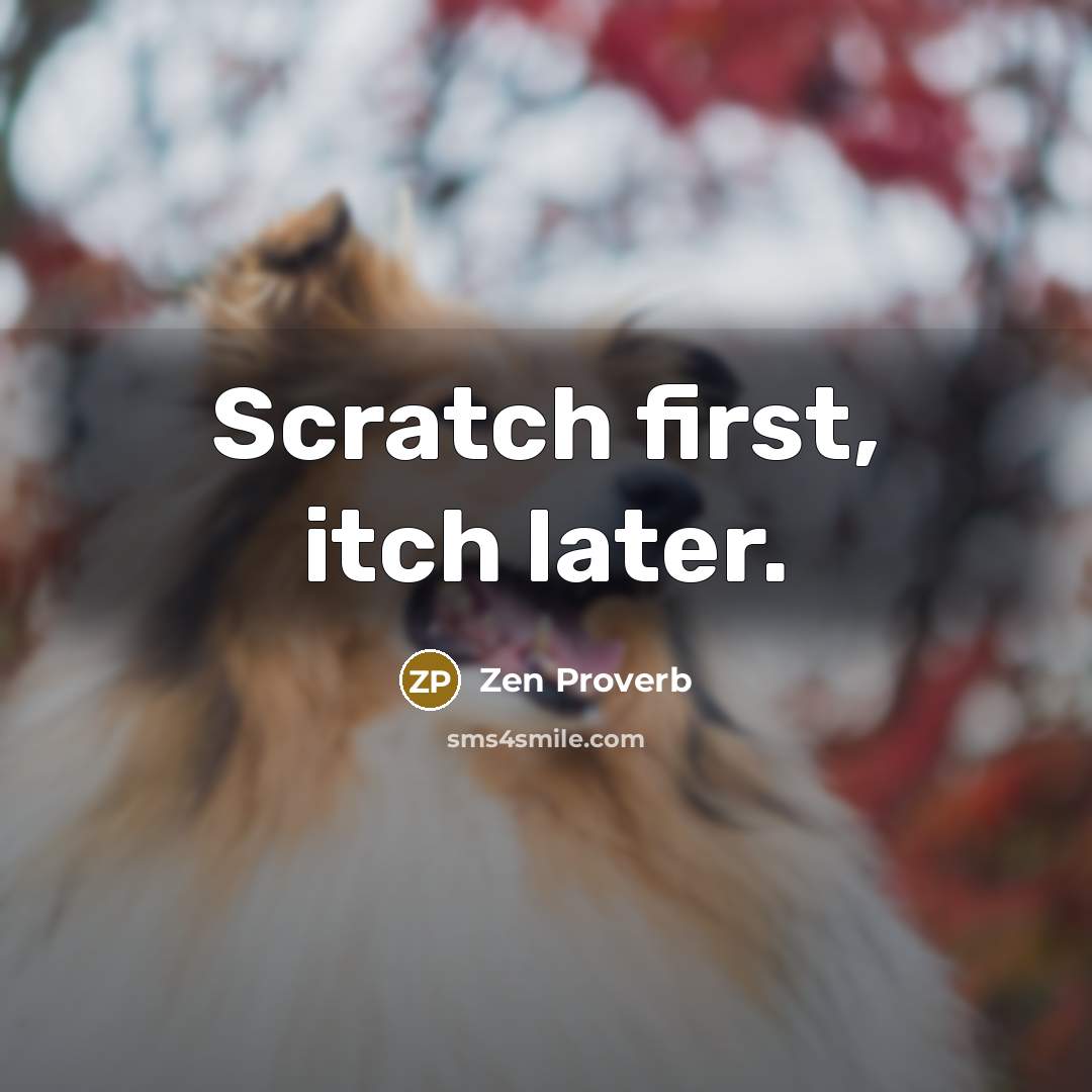 “Scratch first, itch later.” quote by Zen Proverb