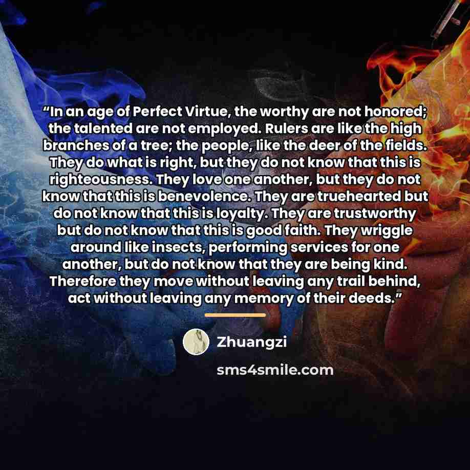 “In an age of Perfect Virtue, the worthy are not honored; the talented are not employed. Rulers are like the high branches of a tree; the people, like the deer of the fields. They do what is right, but they do not know that this is righteousness. They love one another, but they do not know that…” quote by Zhuangzi