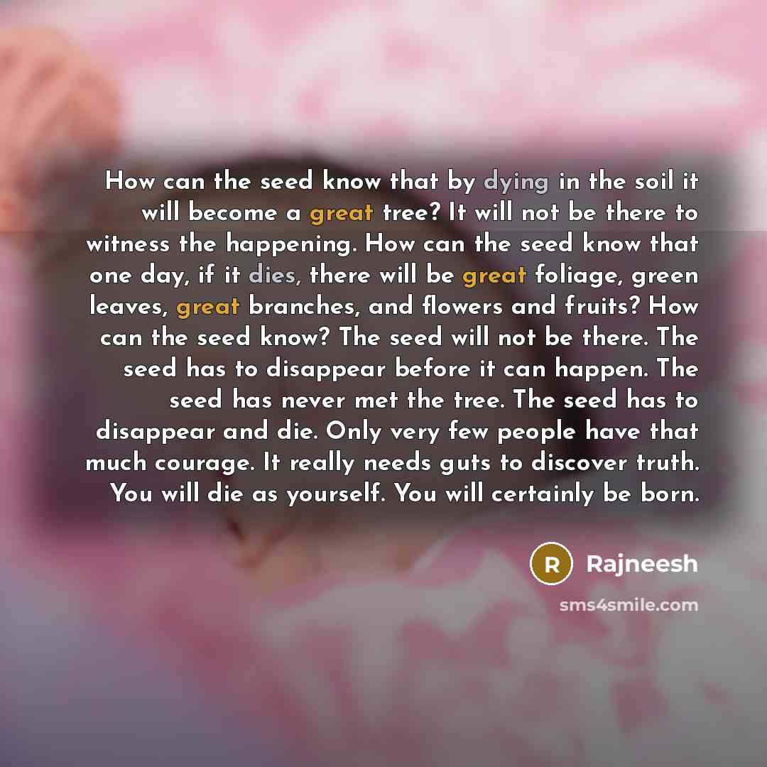 “How can the seed know that by dying in the soil it will become a great tree? It will not be there to witness the happening. How can the seed know that one day, if it dies, there will be great foliage, green leaves, great branches, and flowers and fruits? How can the seed know? The seed will not be…” quote by Rajneesh