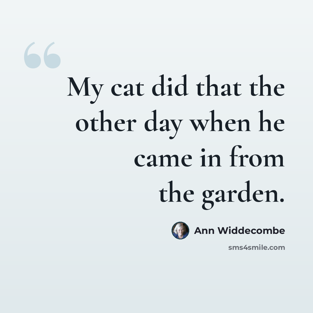 “My cat did that the other day when he came in from the garden.” quote by Ann Widdecombe