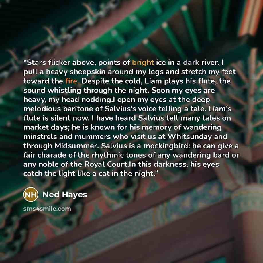 “Stars flicker above, points of bright ice in a dark river. I pull a heavy sheepskin around my legs and stretch my feet toward the fire. Despite the cold, Liam plays his flute, the sound whistling through the night. Soon my eyes are heavy, my head nodding.I open my eyes at the deep melodious…” quote by Ned Hayes