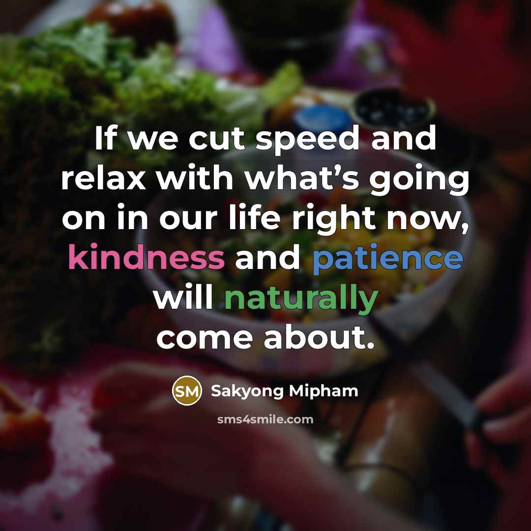 “If we cut speed and relax with what’s going on in our life right now, kindness and patience will naturally come about.” quote by Sakyong Mipham