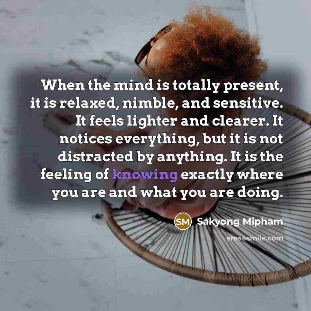 “When the mind is totally present, it is relaxed, nimble, and sensitive. It feels lighter and clearer. It notices everything, but it is not distracted by anything. It is the feeling of knowing exactly where you are and what you are doing.” quote by Sakyong Mipham