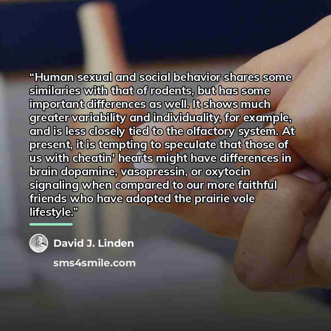 “Human sexual and social behavior shares some similaries with that of rodents, but has some important differences as well. It shows much greater variability and individuality, for example, and is less closely tied to the olfactory system. At present, it is tempting to speculate that those of us…” quote by David J. Linden