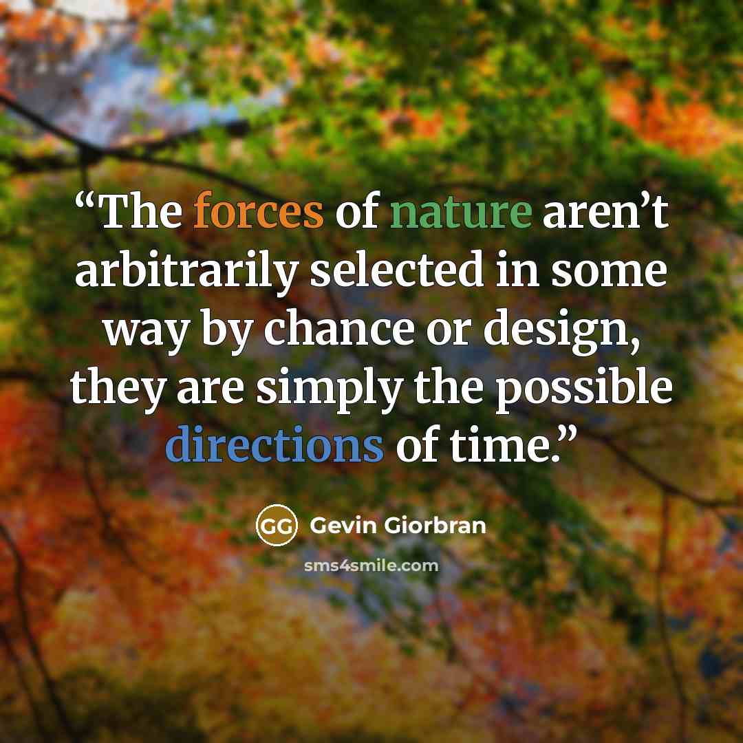 “The forces of nature aren’t arbitrarily selected in some way by chance or design, they are simply the possible directions of time.” quote by Gevin Giorbran