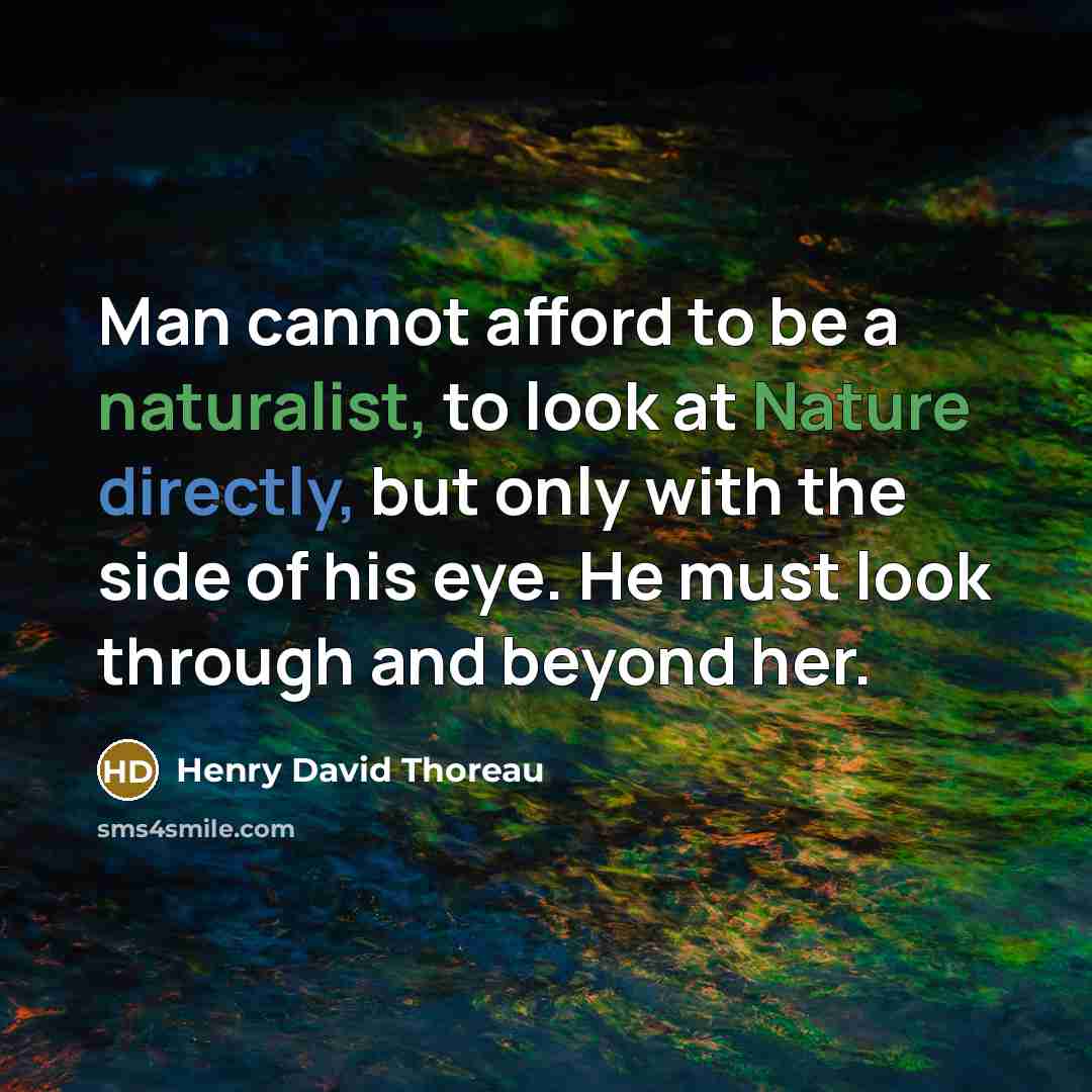 “Man cannot afford to be a naturalist, to look at Nature directly, but only with the side of his eye. He must look through and beyond her.” quote by Henry David Thoreau