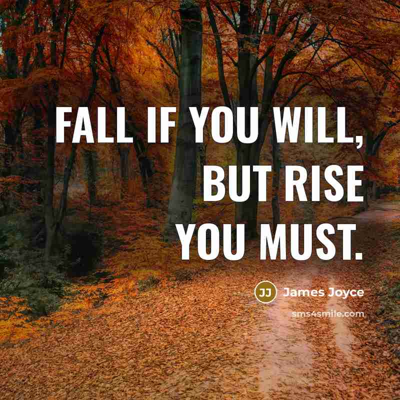 “Fall if you will, but rise you must.” quote by James Joyce