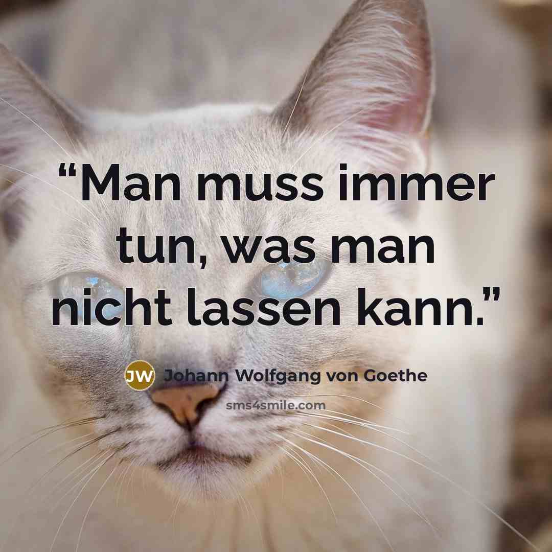 “Man muss immer tun, was man nicht lassen kann.” quote by Johann Wolfgang von Goethe