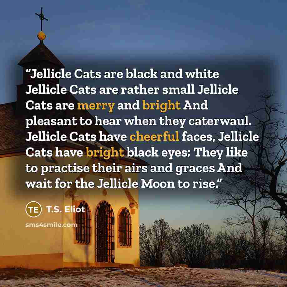 “Jellicle Cats are black and white Jellicle Cats are rather small Jellicle Cats are merry and bright And pleasant to hear when they caterwaul. Jellicle Cats have cheerful faces, Jellicle Cats have bright black eyes; They like to practise their airs and graces And wait for the Jellicle Moon to rise.” quote by T.S. Eliot