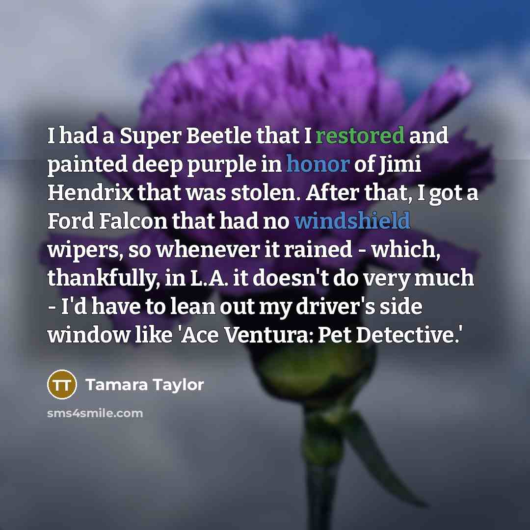“I had a Super Beetle that I restored and painted deep purple in honor of Jimi Hendrix that was stolen. After that, I got a Ford Falcon that had no windshield wipers, so whenever it rained - which, thankfully, in L.A. it doesn't do very much - I'd have to lean out my driver's side window like 'Ace…” quote by Tamara Taylor