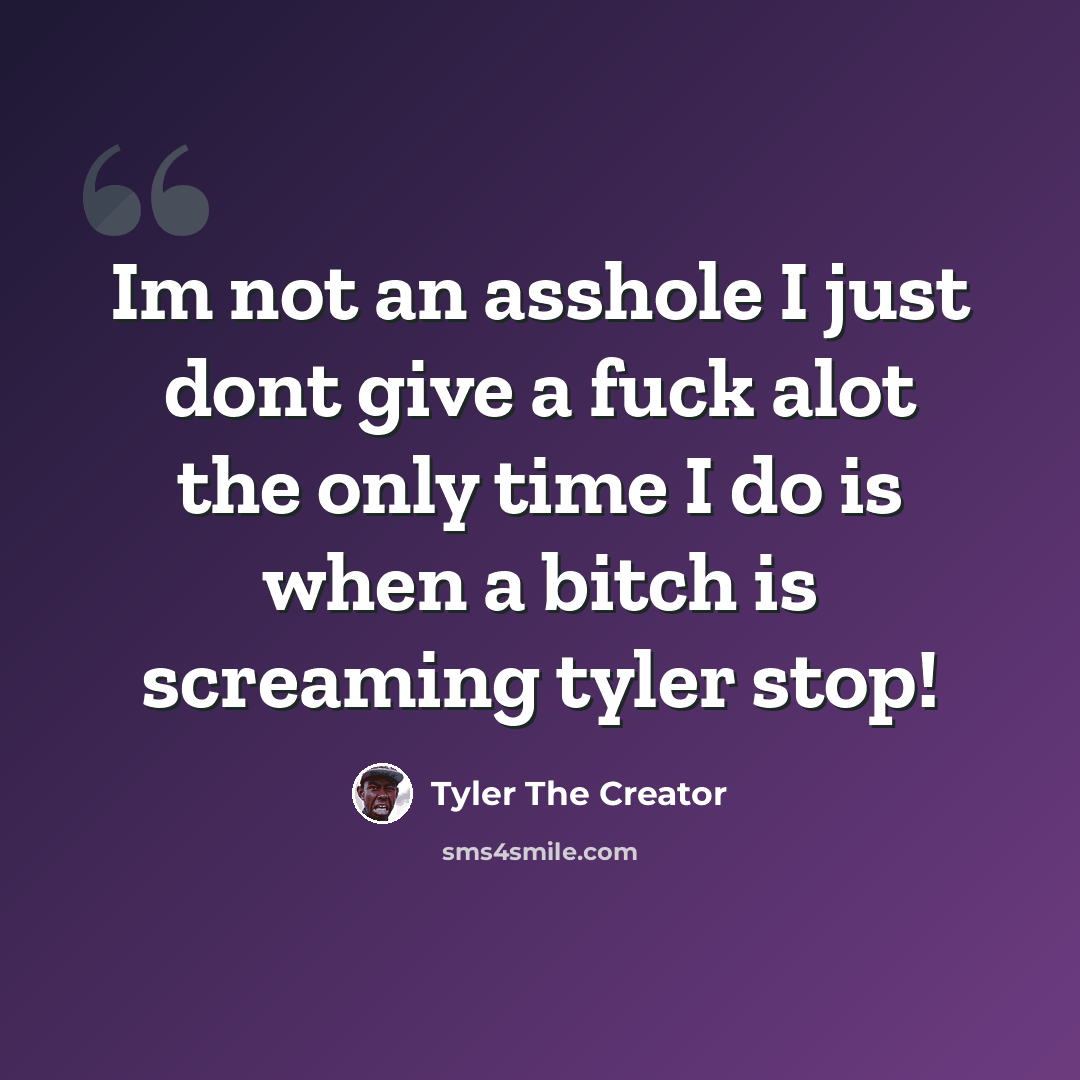 “Im not an asshole I just dont give a fuck alot the only time I do is when a bitch is screaming tyler stop!” quote by Tyler The Creator