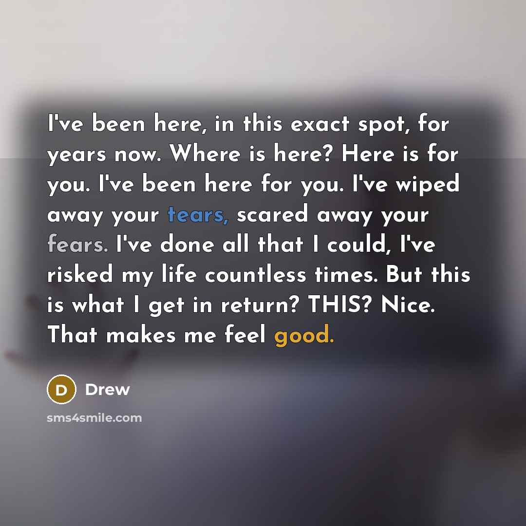 “I've been here, in this exact spot, for years now. Where is here? Here is for you. I've been here for you. I've wiped away your tears, scared away your fears. I've done all that I could, I've risked my life countless times. But this is what I get in return? THIS? Nice. That makes me feel good.” quote by Drew