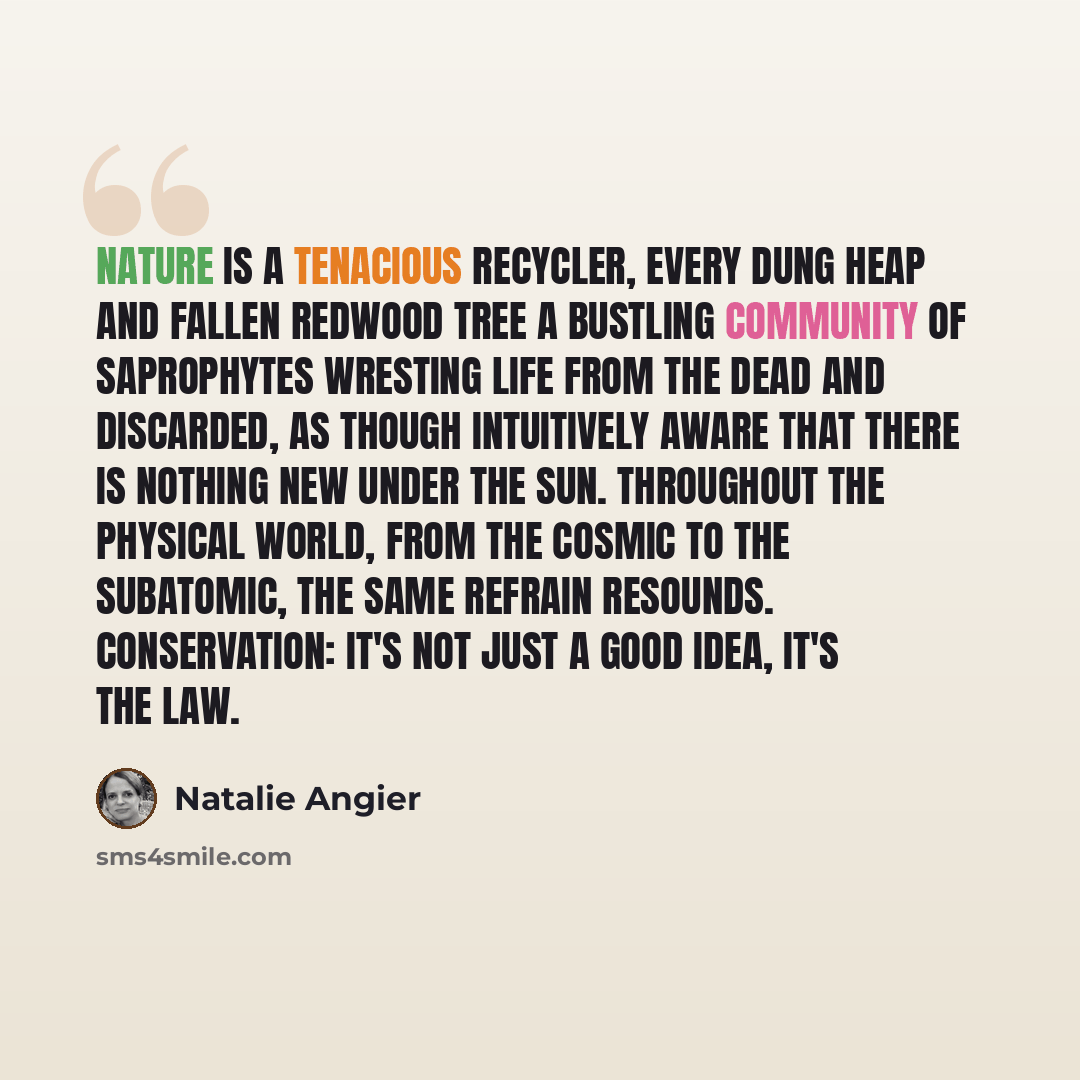 “Nature is a tenacious recycler, every dung heap and fallen redwood tree a bustling community of saprophytes wresting life from the dead and discarded, as though intuitively aware that there is nothing new under the sun. Throughout the physical world, from the cosmic to the subatomic, the same…” quote by Natalie Angier