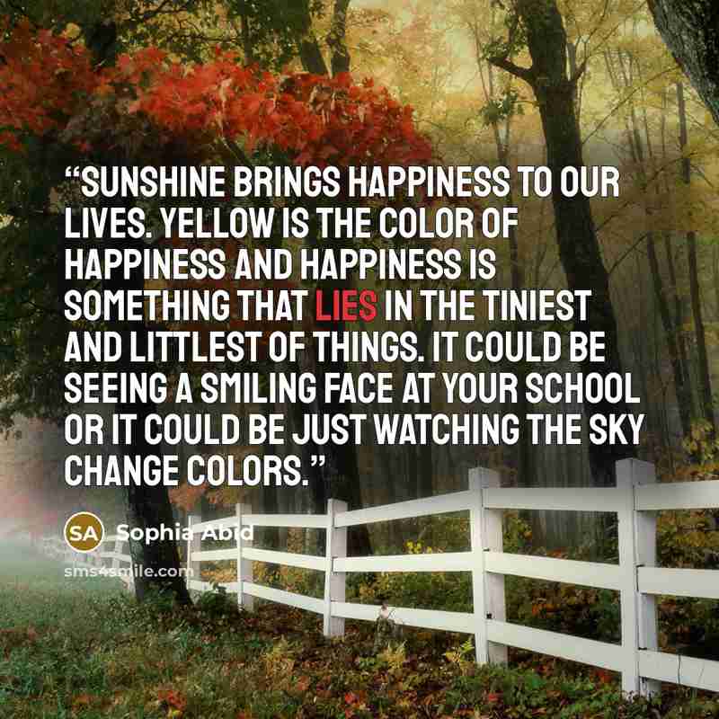 “Sunshine brings happiness to our lives. Yellow is the color of happiness and happiness is something that lies in the tiniest and littlest of things. It could be seeing a smiling face at your school or it could be just watching the sky change colors.” quote by Sophia Abid