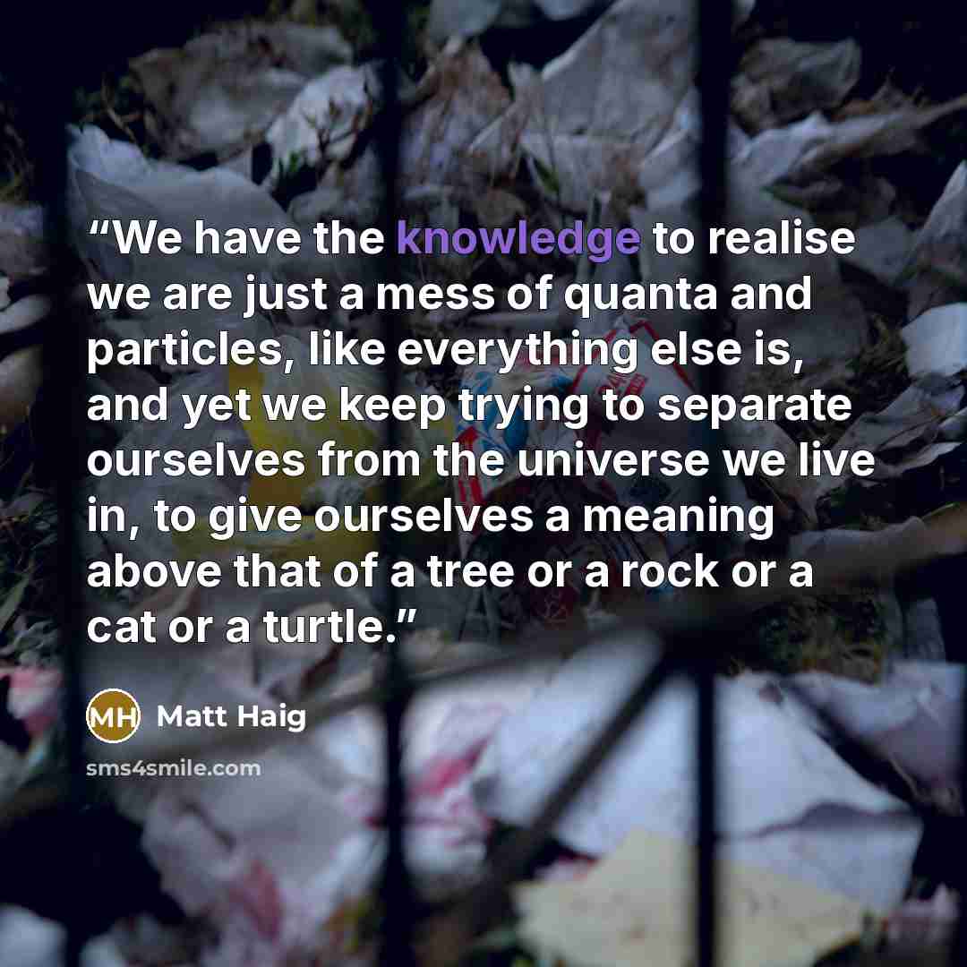 “We have the knowledge to realise we are just a mess of quanta and particles, like everything else is, and yet we keep trying to separate ourselves from the universe we live in, to give ourselves a meaning above that of a tree or a rock or a cat or a turtle.” quote by Matt Haig