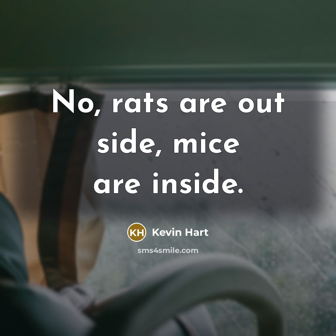 “No, rats are out side, mice are inside.” quote by Kevin Hart