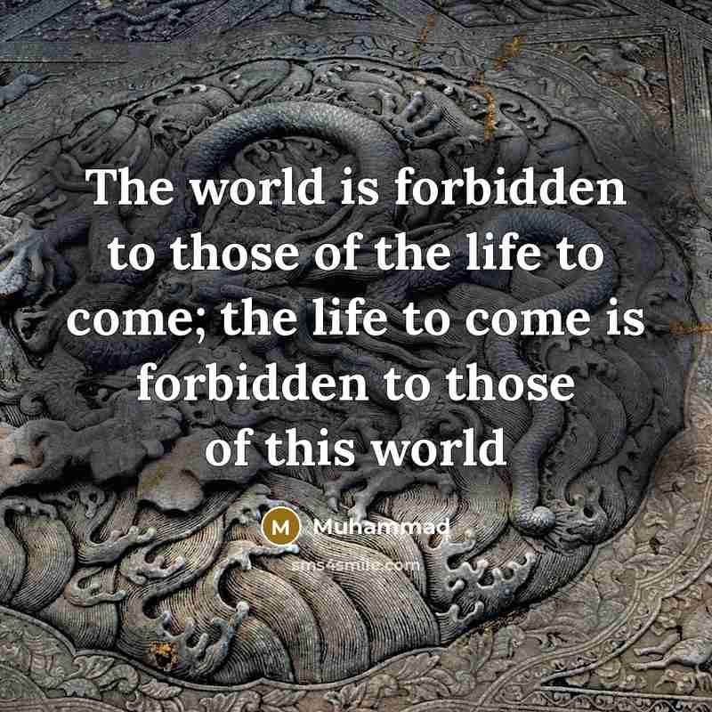 “The world is forbidden to those of the life to come; the life to come is forbidden to those of this world” quote by Muhammad