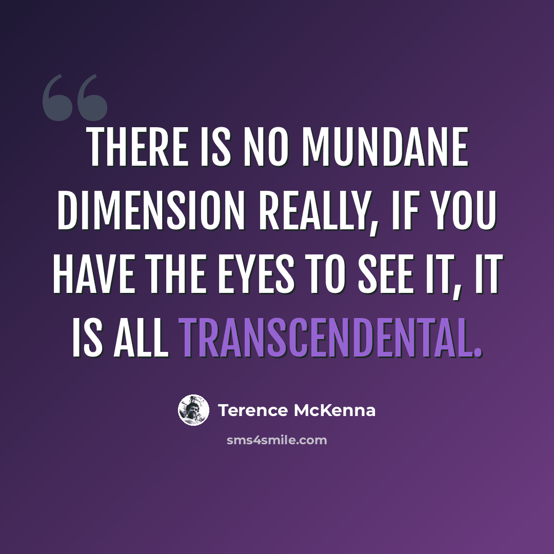 “There is no mundane dimension really, if you have the eyes to see it, it is all transcendental.” quote by Terence McKenna