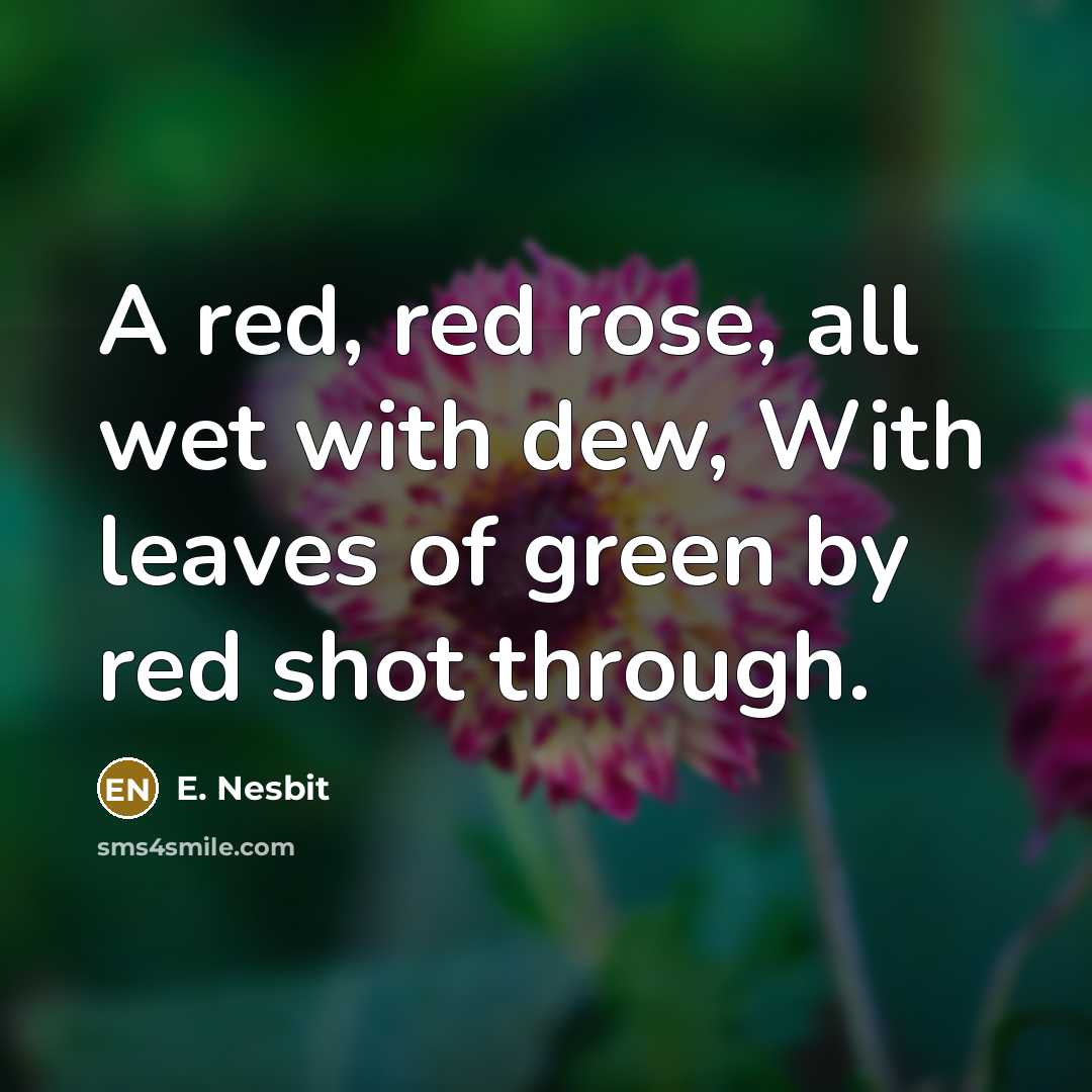 “A red, red rose, all wet with dew, With leaves of green by red shot through.” quote by E. Nesbit