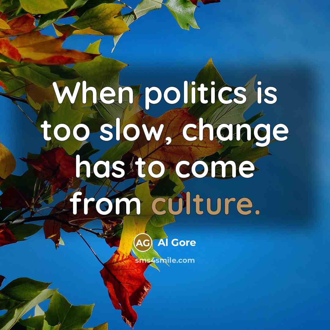 “When politics is too slow, change has to come from culture.” quote by Al Gore