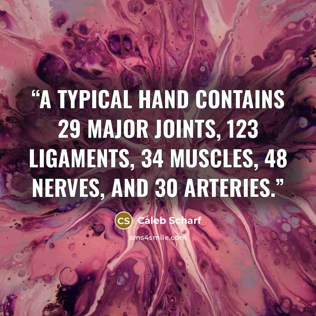 “A typical hand contains 29 major joints, 123 ligaments, 34 muscles, 48 nerves, and 30 arteries.” quote by Caleb Scharf