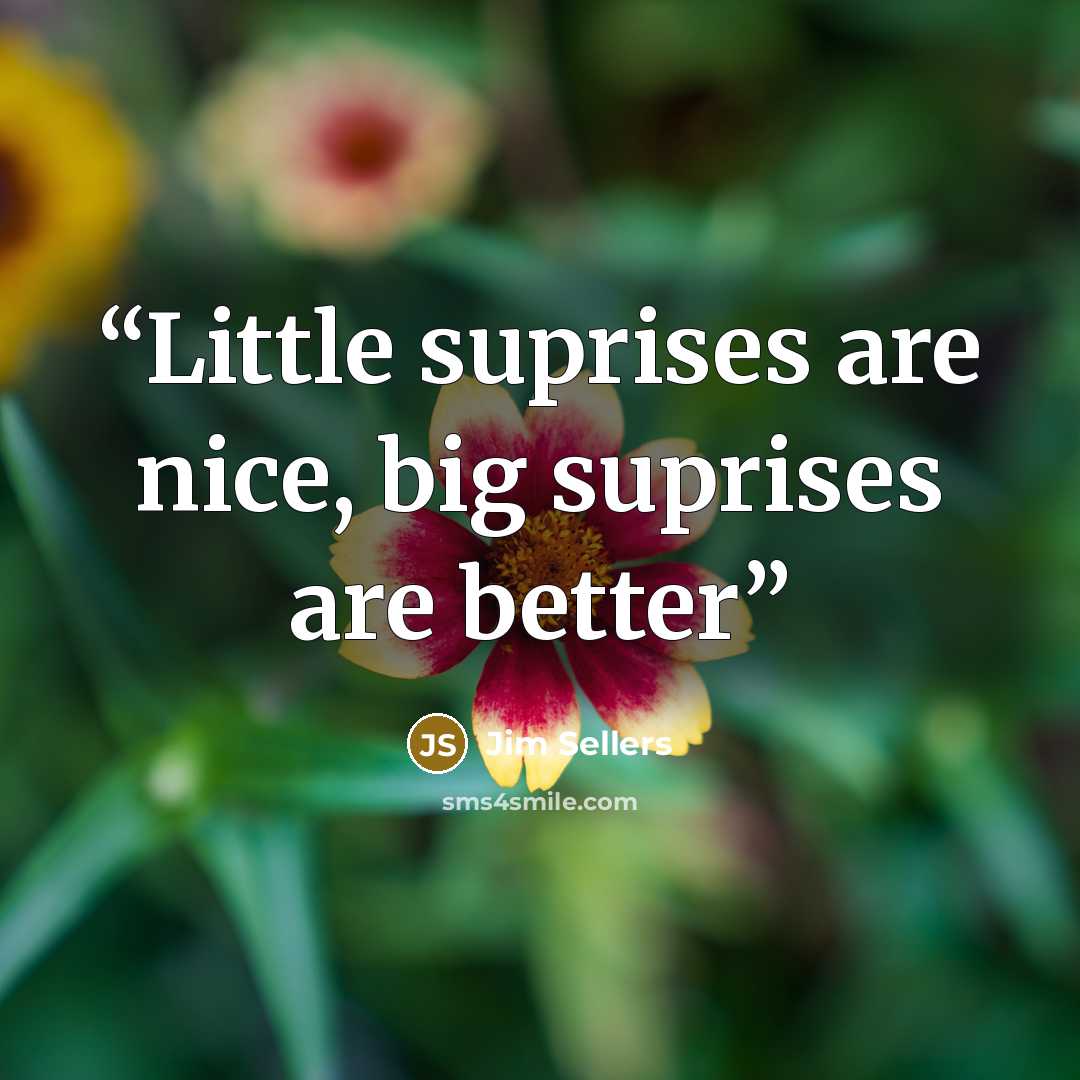 “Little suprises are nice, big suprises are better” quote by Jim Sellers