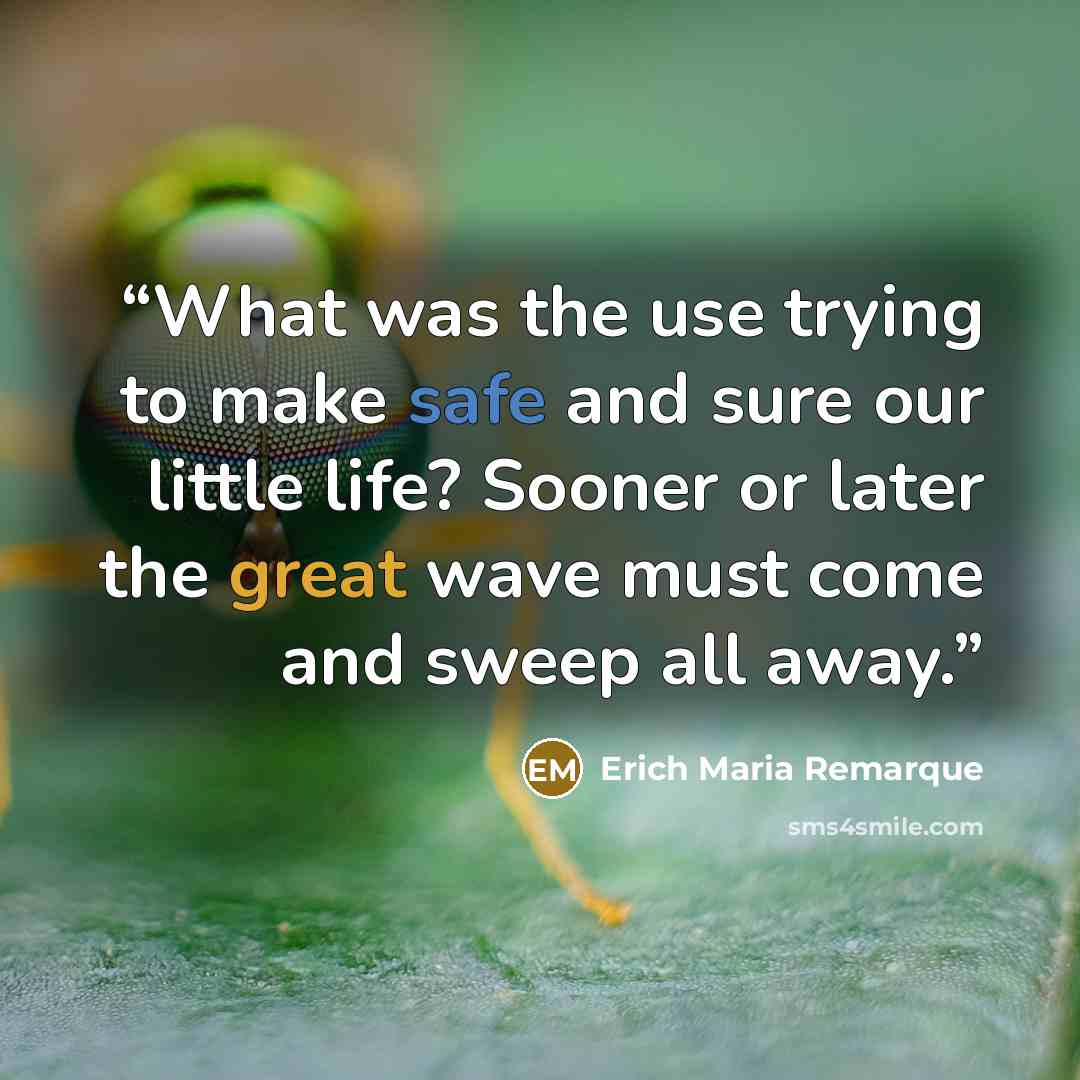 “What was the use trying to make safe and sure our little life? Sooner or later the great wave must come and sweep all away.” quote by Erich Maria Remarque